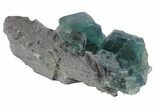 Blue-Green Fluorite on Sparkling Quartz - China #120333-1